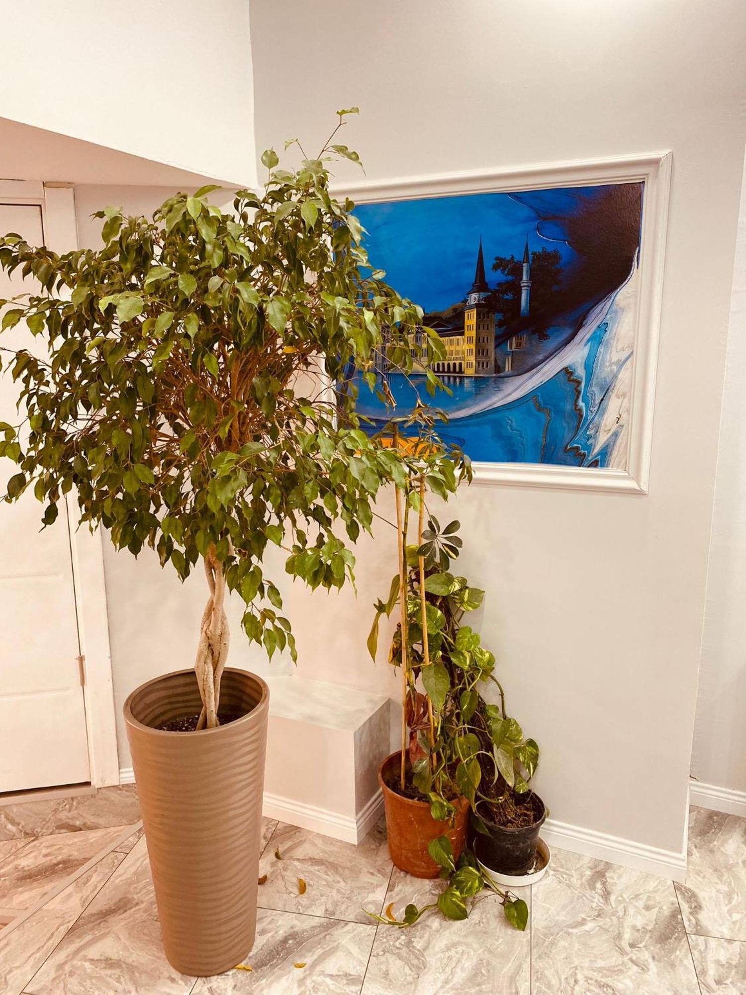 Hodegon Suite Hotel Stambuł Zewnętrze zdjęcie